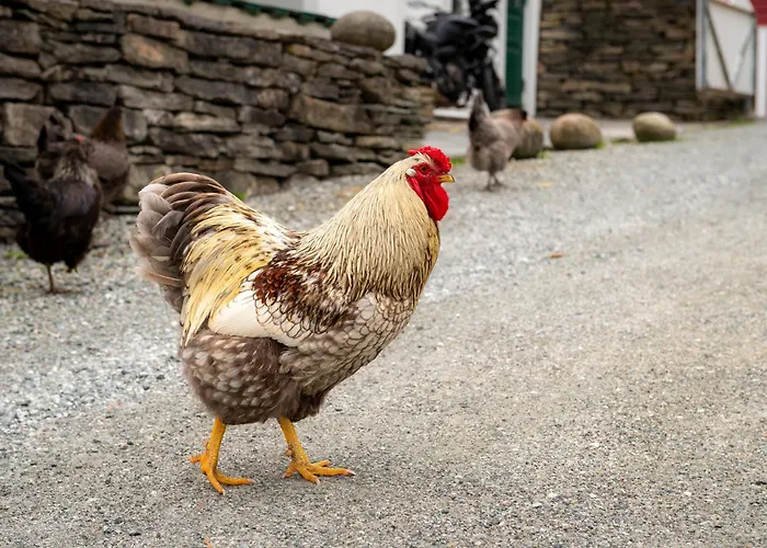 Vakker - Stor Parkeringsplass 10min Fra Apartment *