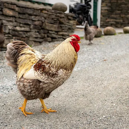 Vakker - Stor Parkeringsplass 10min Fra Apartment *